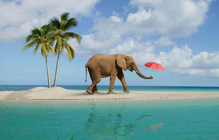 Day 3: Adventure & Water Activities