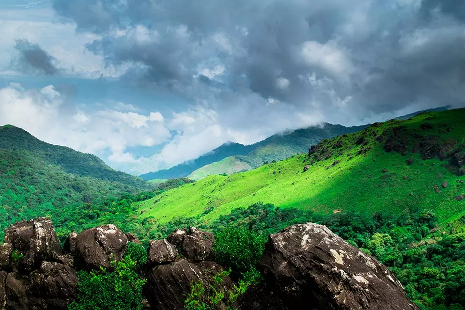 Day 3: Journey to Coorg – The Scotland of India