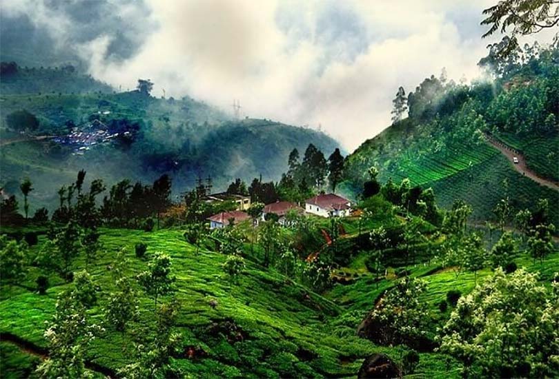Day 4: Discover the Natural Beauty of Coorg